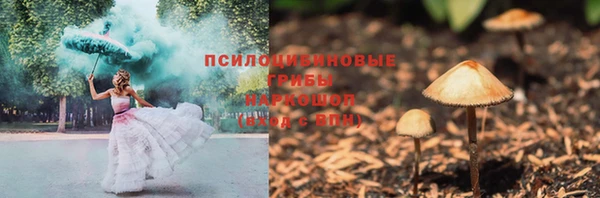 соль ск Бугульма