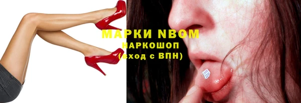 молекула духа Бородино