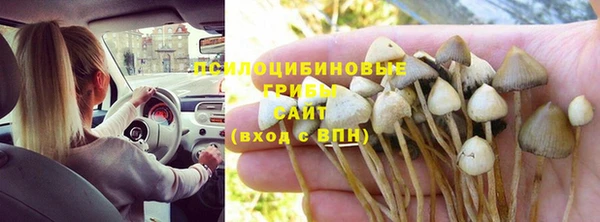 spice Богданович