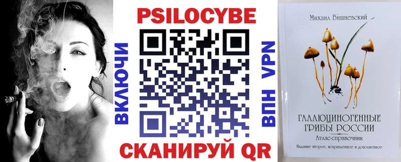 Псилоцибиновые грибы Psilocybe  Козловка 